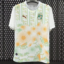2026 Coate d'Ivoire Away Fans Version Thailand Quality