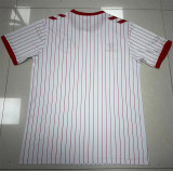 2026 Denmark Away Fans Version Thailand Quality