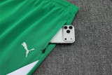 25-26 Senegal (green) Jacket Adult Sweater tracksuit set