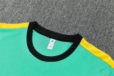 2026 Brazil (Training clothes) Adult Jersey & Short Set Quality