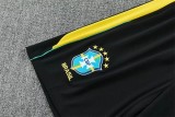 2026 Brazil (Training clothes) Adult Jersey & Short Set Quality