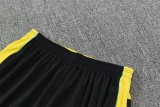 2026 Brazil (Training clothes) Adult Jersey & Short Set Quality