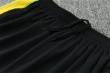 2026 Brazil (Training clothes) Adult Jersey & Short Set Quality
