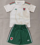 2026 Wales Away Adult Jersey & Short Set Quality