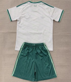 2026 Northern Ireland Away Adult Jersey & Short Set Quality