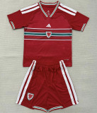 2026 Wales home Adult Jersey & Short Set Quality