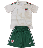 2026 Wales Away Adult Jersey & Short Set Quality