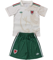 2026 Wales Away Adult Jersey & Short Set Quality