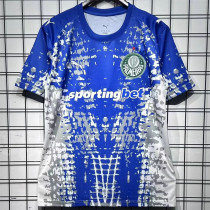 26-27 SE Palmeiras (goalkeeper) Fans Version Thailand Quality