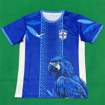 2026 Brazil (Special Edition) Fans Version Thailand Quality