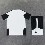 26-27 Juventus FC (Training clothes) Set.Jersey & Short High Quality