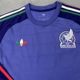 2026 Mexico (Goalkeeper) Long sleeve Thailand Quality