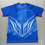 2026 Congo home Fans Version Thailand Quality