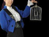 Appearing Bird Cage - 12 inch Steel, Small