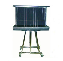 * Dove Cage Disappears And Lady Appears