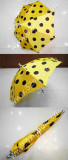 Super Parasol Production - 24 Inch (5 Colors)