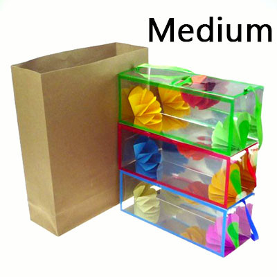 Appearing Flower Boxes - Medium