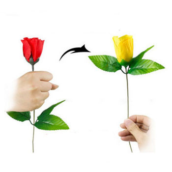 Color Changing Rose - Trick