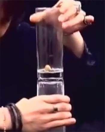 Pistachio thru Glass