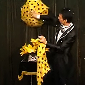 Color Changing Scarf ACT