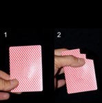 Special Card to Bite