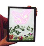 * Lighting Dove By China Magic