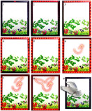 * Lighting Dove By China Magic