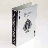 Metal Card Guard - Prediction (5 Colors)