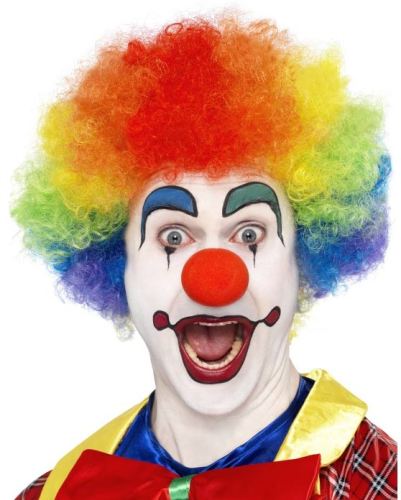 Multi Color Clown Wig