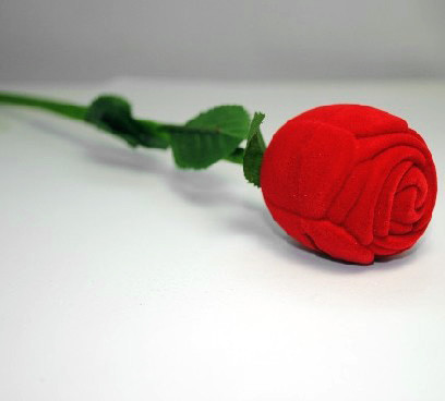 Wedding Magic - Rose to Ring Box