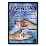 Reversible by Mathieu Bich