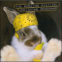 Amazing Mystical Vanishing Bandana by Robert Hass