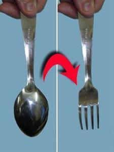 Spoon to Fork