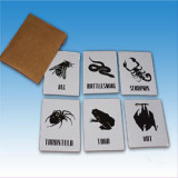 6th Sense Animal Prediction