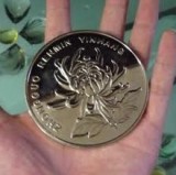 Jumbo Chinese Coin - 3 inch