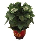 Blooming Rose Bush - Remote Control - 10 Flowers