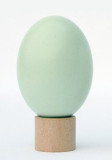 Super Wooden Egg (Duck Egg)