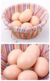 Super Wooden Egg (Brown/White)