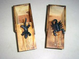 Wooden Insect-Inside Box