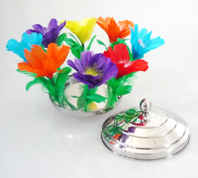 Fire to Flower Pan - Multicolour