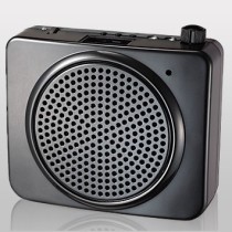 Mini Voice Amplifier - Headset - Remote Control (30W)