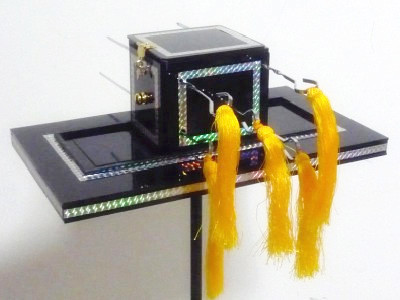 * Surprising Dove Box