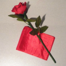 Auto Silk to Rose 3.0