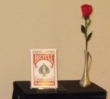 Jumbo Mirage Deck Bicycle for Jumbo Sidekick