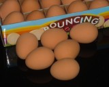 Super Rubber Egg (White/Brown)