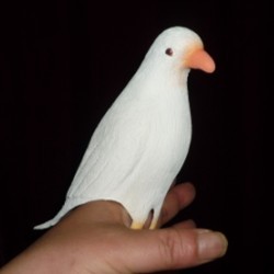 Super Latex Dove