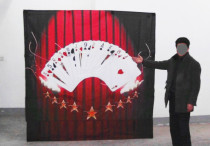 * Pro Card Backdrop System