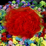 * Flowers in a Flower