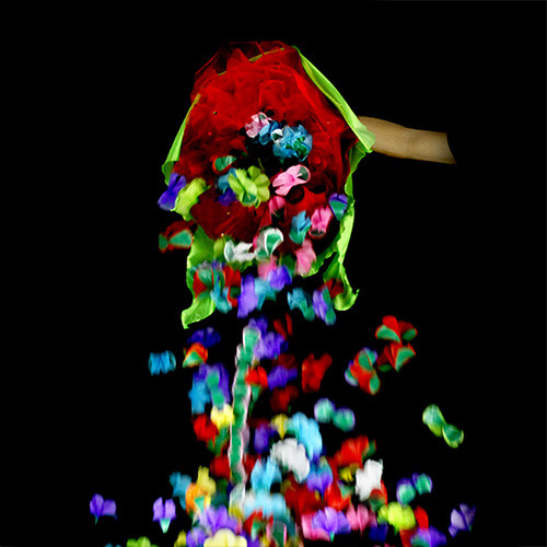 * Flowers in a Flower