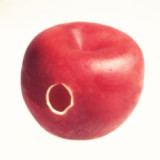 Rubber Apple